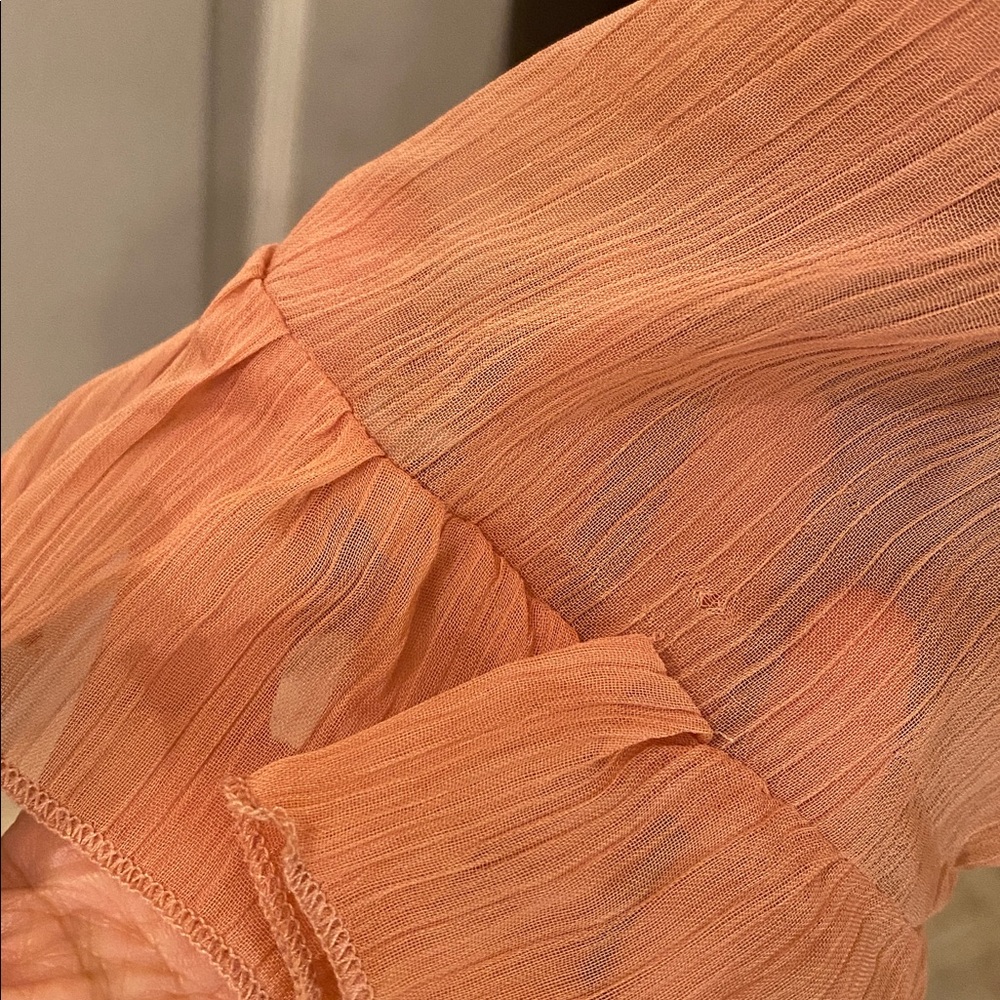 Anthropologie Sheer Terracotta Blouse Top NWTs - Picture 13 of 13